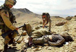 Las muertes de rebeldes por parte de las tropas afganas y de la coalicin se produjeron en las provincias de Uruzgan y Kandahar. 