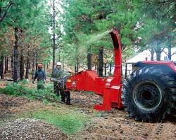 La petrolera espaola tiene un proyecto forestal de largo aliento. En la segunda etapa se plantarn ejemplares de pino ponderosa.