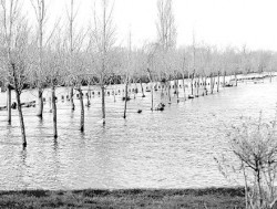 A pesar de que el caudal bajó, hay orillas tapadas por el agua.