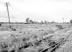 El Tren Patagónico va y viene todo el tiempo, pero las comunicaciones no garantizan que las vías estén despejadas.