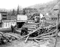 La producción de madera puede convertirse en un polo industrial muy importante para las localidades del norte neuquino.