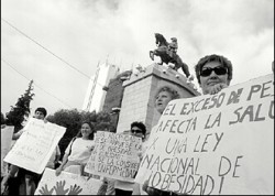En Neuqun, la manifestacin se hizo al pie del monumento a San Martn donde instalaron una balanza. En Cipolletti, hubo baile en la plaza y en Buenos Aires un abrazo al Congreso Nacional.