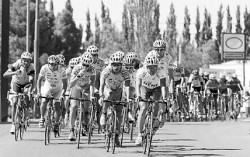 El grueso del pelotn en la primera parte de la etapa, cuando circulaba por Cinco Saltos. Los equipos grandes marcan el pulso de la Vuelta.
