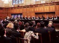 La Corte de la ONU confirm varias apreciaciones adoptadas por el Tribunal Penal Internacional para la ex Yugoslavia. 