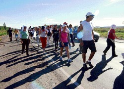 Ayer los docentes en marcha desde Zapala cubrieron el tramo Senillosa-Plottier. A media maana de hoy llegarn a la capital.