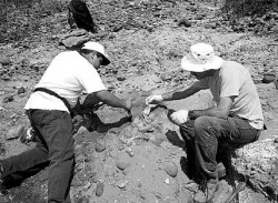 Los restos hallados corresponden a la osamenta de una fabulosa bestia del perodo Cuaternario, extinta hace ms de 8.000 aos.