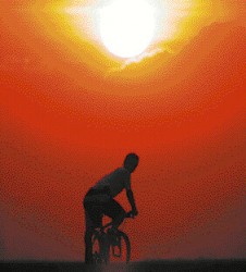 Andar ms en bicicleta que en auto ayudar a frenar el cambio climtico.