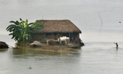 Las aguas empezaron a bajar en la India y Bangladesh, pero le temen ahora a los brotes de diarrea.