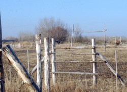 El encuentro folclórico se realizó en un predio, que ahora se investiga si contaba con las medidas de seguridad necesarias.