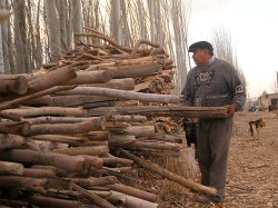 Les sobra leña. "Me niego a hacer un daño gratuito al medio ambiente, cuando hay tanta gente necesitada", afirmó Edgardo Kristensen.