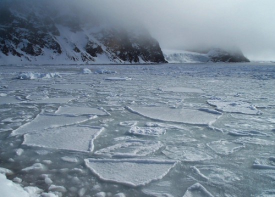 Gran Bretaa planea reclamar un fondo marino de hasta 350 millas nuticas frente a la Antrtida.