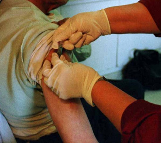 La produccin de vacunas evitara una pandemia de gripe.