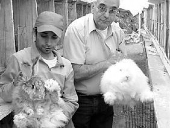 La firma premiada produce conejos de los que extrae la fibra y confecciona prendas.