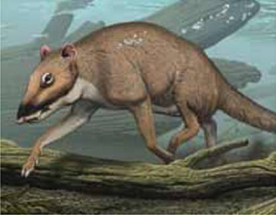 Indohyus, una imagen de la criatura que hoy ser publicada en la revista Nature.