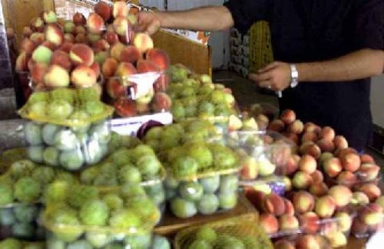 La planta permitirá elaborar dulces y conservas con frutas de la región.