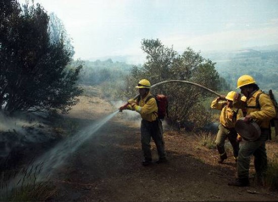 Los bomberos provinciales pidieron que la provincia incremente el porcentaje de lo recaudado por Lotería de Río Negro.