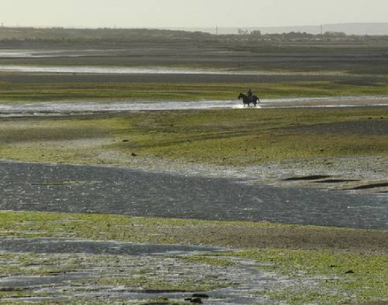 La ría de San Antonio Oeste sigue con altos puntos de contaminación.