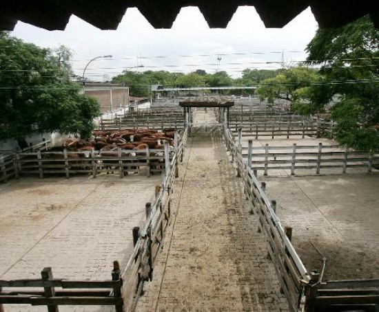 El Mercado de Hacienda de Liniers sintió el impacto de la protesta del campo.