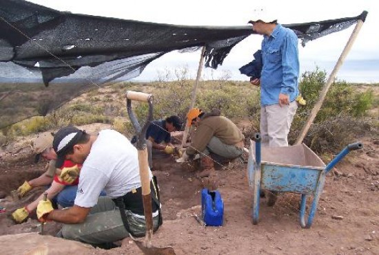 Los cientficos trabajan donde hallaron los fsiles del grupo de los Abelisaurios. A la derecha, en rojo, los restos encontrados.