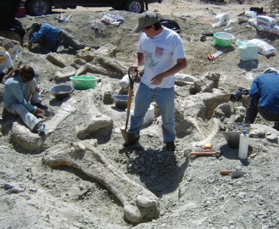 Los huesos se guardaron en más de 30 "bochones" de yeso. Estaban junto a un paraje conocido como Loma de los Jotes.
