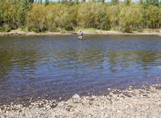 En el balneario municipal el río es un hilo (arriba). En el brazo principal (izq.) tampoco abunda el agua.