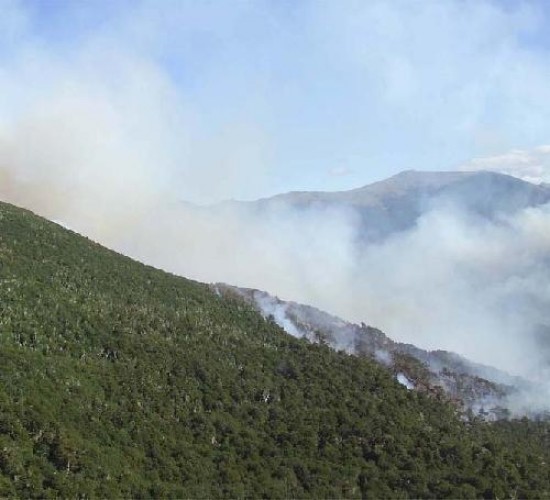 El fuego ya arrasó con 450 hectáreas de bosque nativo en el Parque Nacional Lanín.