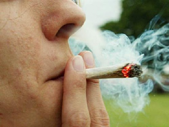 El consumo anual de marihuana: 2.000 toneladas. Marihuana secuestrada en Formosa. Según las estadísticas, un millón de personas la fuman en la Argentina. El consumo anual de cocaína: 60 toneladas.