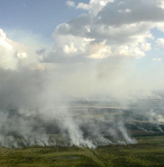 La Justicia encontr a un culpable del humo.