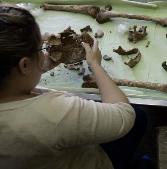 Los restos comenzaron a ser analizados para tratar de determinar su origen.