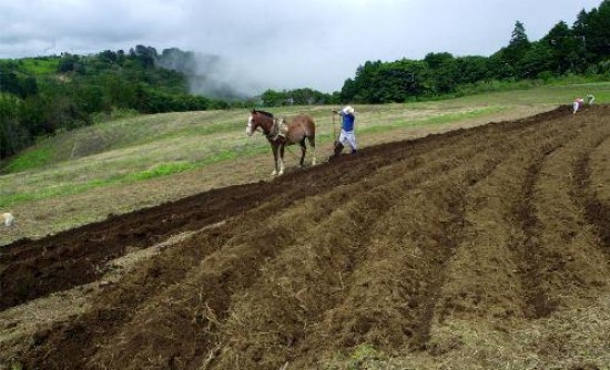 Las soluciones que se plantean hoy ante el hambre tienen la mirada puesta en los pequeños agricultores de los países en desarrollo. 