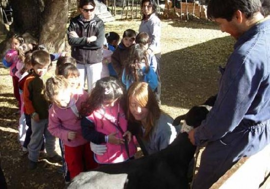 Los nios aprendieron sobre corderos y ovejas, lana y gentica en el establecimiento ganadero. Escuchar la respiracin del perro fue una de las experiencias que llam la atencin de los pequeos.