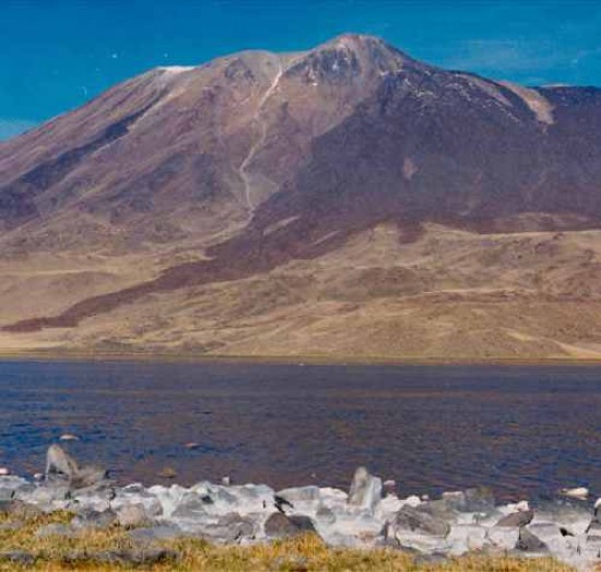 La laguna Tromen es sitio de nidificación de numerosas especies de aves.