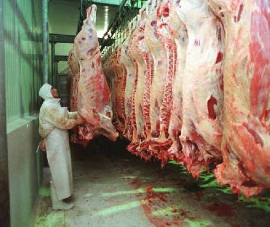 La carne que podrá ingresar a la zona patagónica es de Bariloche y Jacobacci.