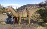 Ya hay varios ejemplares terminados, y el escultor Ernesto Bertedor se encuentra trabajando en una réplica del Argentino-saurus de más de 14 metros.
