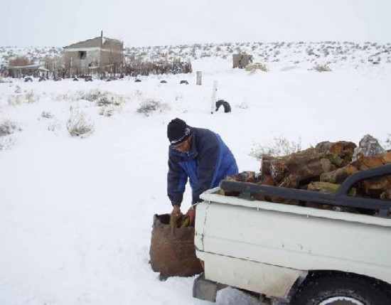 Apenas empieza el invierno y la escasez de combustibles es acuciante.