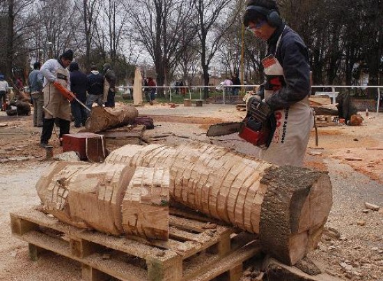 El año anterior se trabajó con los árboles talados del parque Rosauer. 