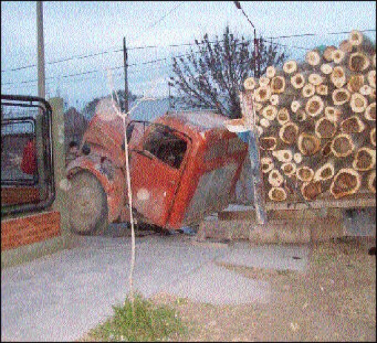 El camin regresaba de una chacra donde haban estado cortando rboles.