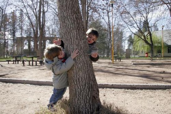 Los niños participarán de los festejos plantando ellos mismos algunos árboles.