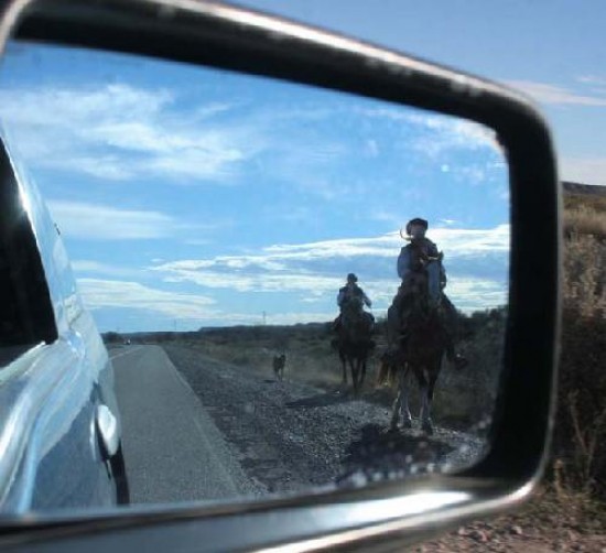 Muchos de los peregrinos llegan a caballo.