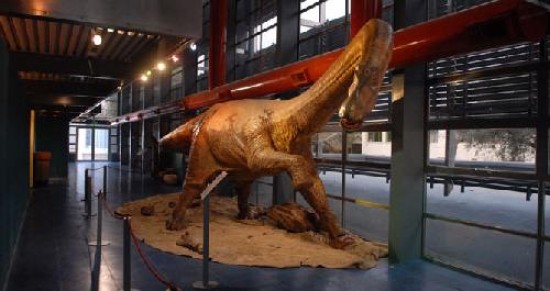 Hay de todo para ver en el Museo de Ciencias, que abri las puertas a un nuevo dino.