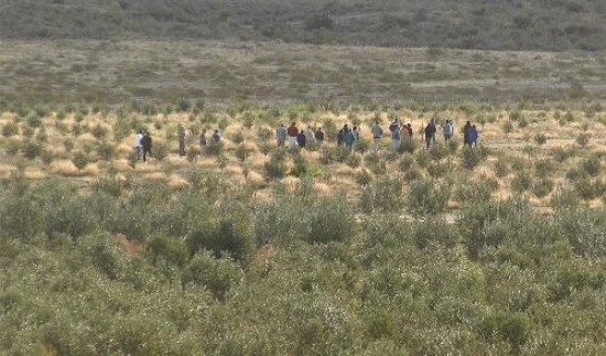 En Las Grutas estn los pioneros en la actividad olivcola de Ro Negro. No pretenden imitar, sino aprovechar las ventajas locales.