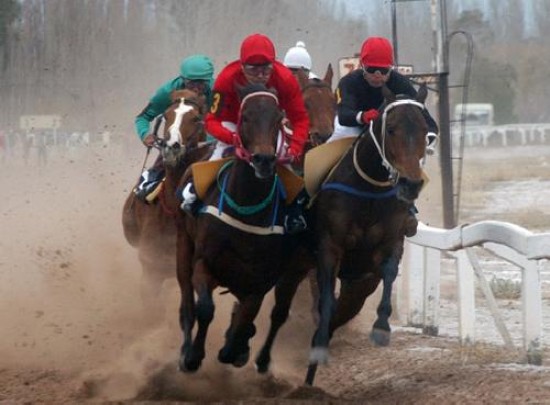 Las carreras vuelven al circo hpico de Canal Cinco.