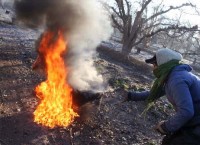 Todos estaban avisados de la helada, de manera que la mayora pudo activar los mecanis-mos de defensa.