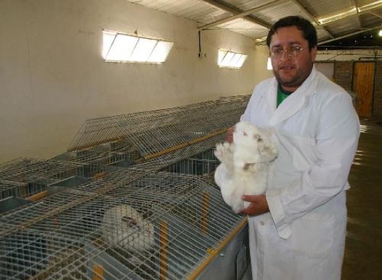 Los cunicultores de Zapala sostienen que el costo de un animal de 2,5 kilogramos supera el precio de venta.