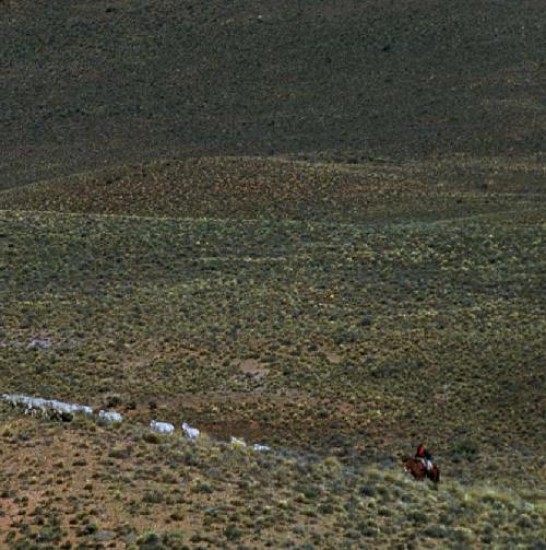 Son numerosos los conflictos que existen por resolver en campos de Neuquén y Río Negro.