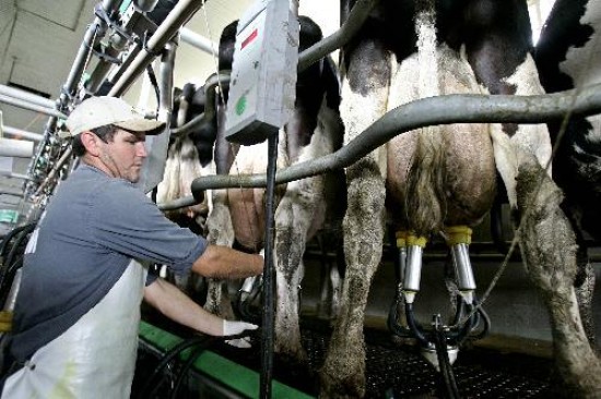 El acuerdo entre el gobierno y los productores apunta a que la población adquiera la leche "a precios razonables". 