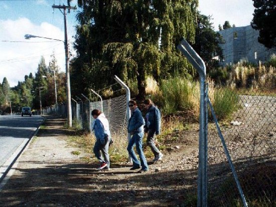 Bariloche aspiraba a tener su jardn botnico, pero el autor del proyecto, Hugo Cejas, lo retir para su anlisis. 