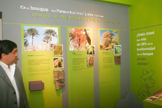 Además del Museo, el edificio albergará un Centro de Visitantes para el turismo. 