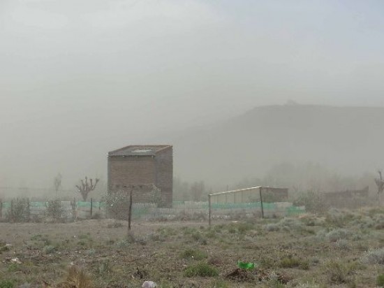 En Zapala, (arriba) rboles cayeron sobre autos y casas. En la regin Sur (izquierda), la tierra redujo la visibilidad a 20 metros. 