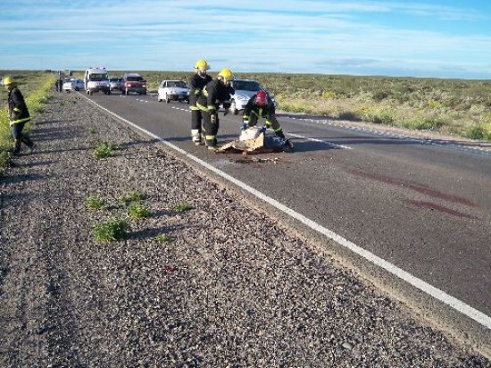 El joven que murió en el acto, quedó tendido en medio de la ruta. Durante el operativo se habilitó sólo una mano de la ruta. 